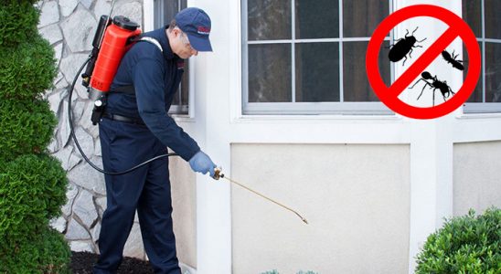 Erdek Kene İlaçlama böcek ilaçlama ve haşere kontrolü — ilaclama-tr.com